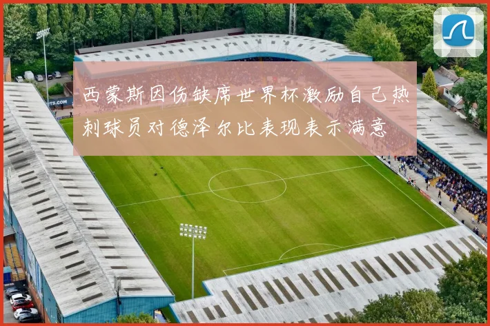 西蒙斯因伤缺席世界杯激励自己热刺球员对德泽尔比表现表示满意