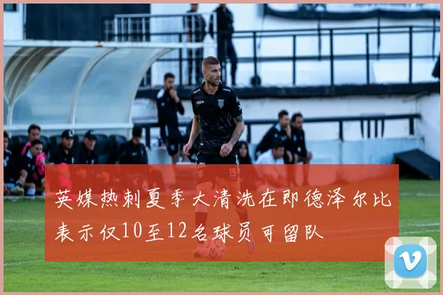 英媒热刺夏季大清洗在即德泽尔比表示仅10至12名球员可留队